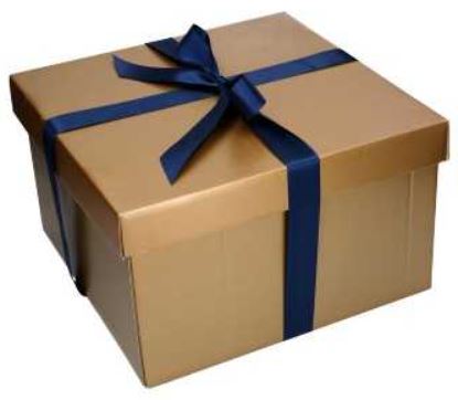 DeliveryMatch Christmas presentbox